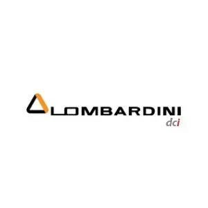 Pieces moteur Lombardini Dci voiture sans permis