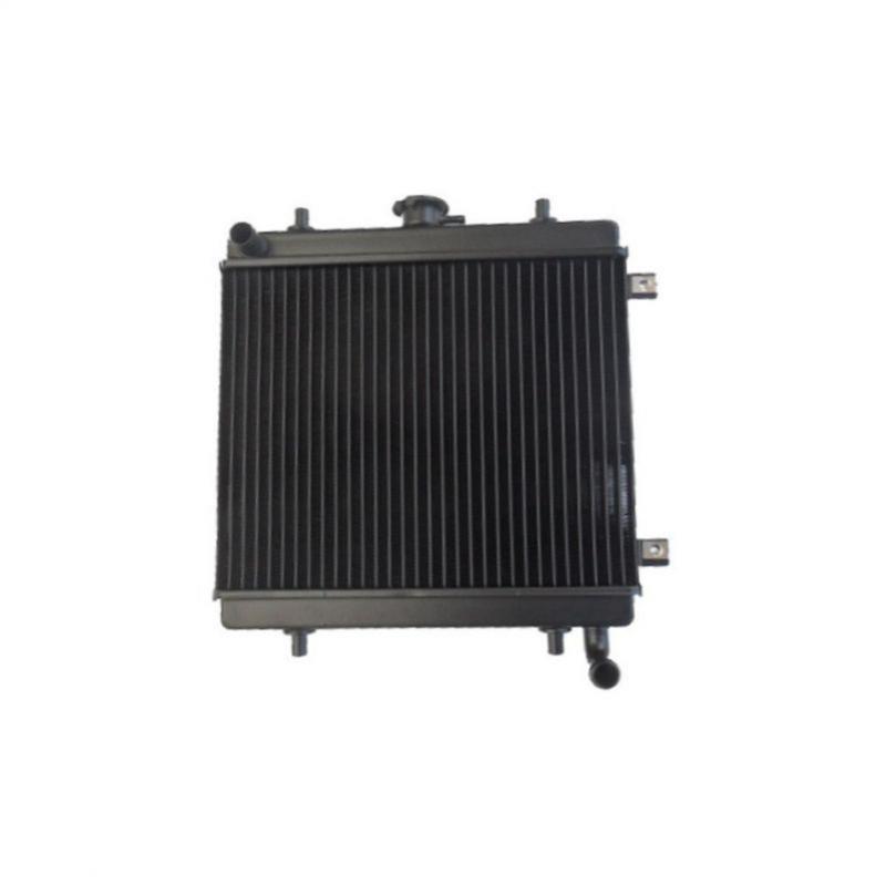 Grecav Sonic radiator met Lombardini Focs motor