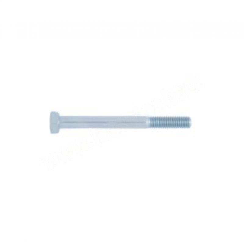 TH SCREW M 12X160