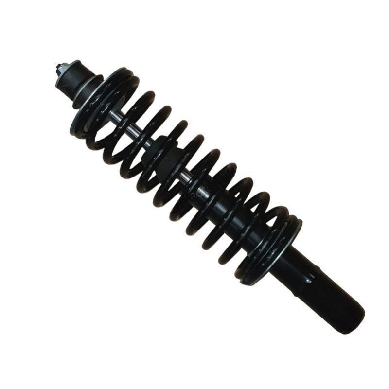 Original Jdm Aloes front shock absorber - Roxsy