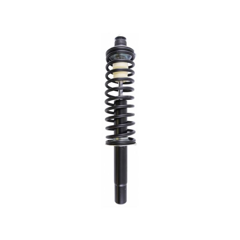 Front shock absorber Ligier Js50 - Js50 L