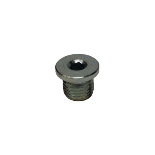 [1001365] Drain plug Lombardini Progress and Dci 442