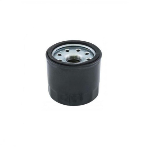 [217117] Oil filter Lombardini Ldw 442 Dci - 492 Dci 