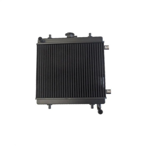 [BAF570007517] Grecav Sonic radiator met Lombardini Focs motor